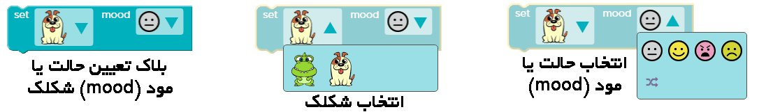 بلاک تعیین حالت یا مود